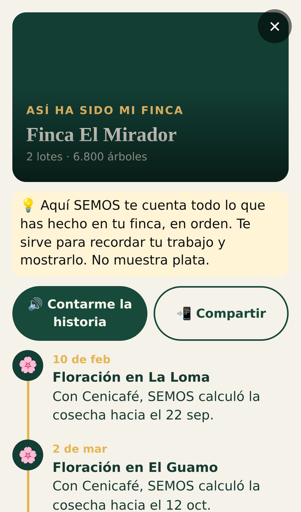 Así ha sido mi finca: la historia de la finca en orden
